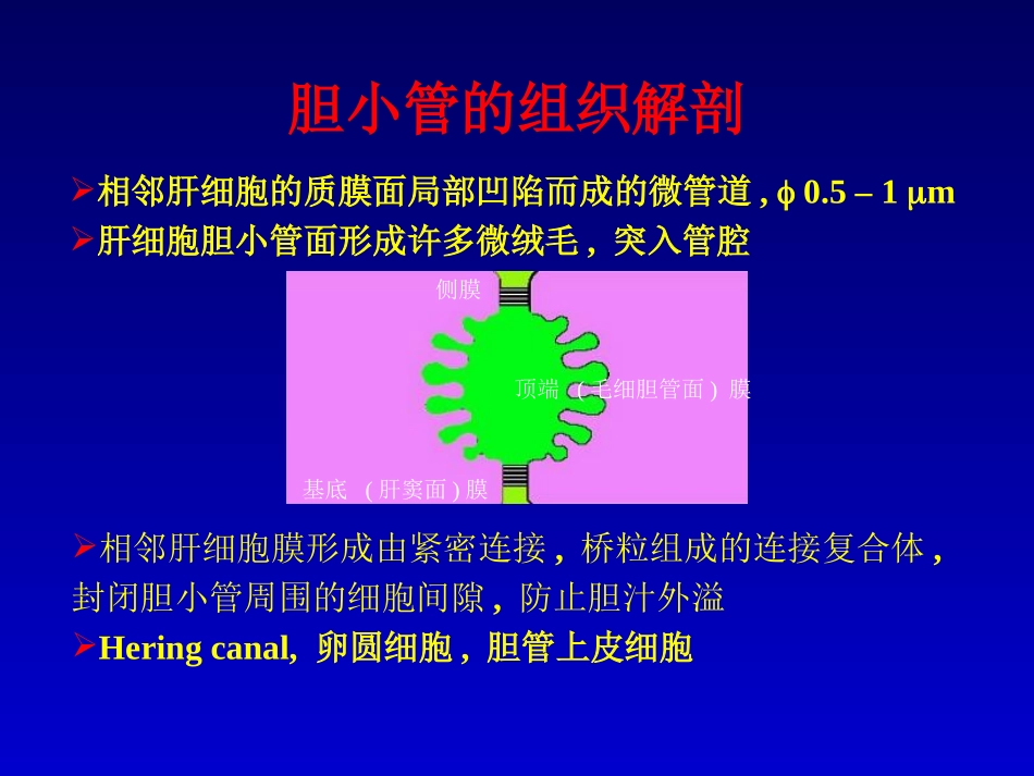 最新肝内胆汁淤积-武汉-PPT文档_第3页