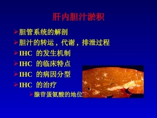 最新肝内胆汁淤积-武汉-PPT文档
