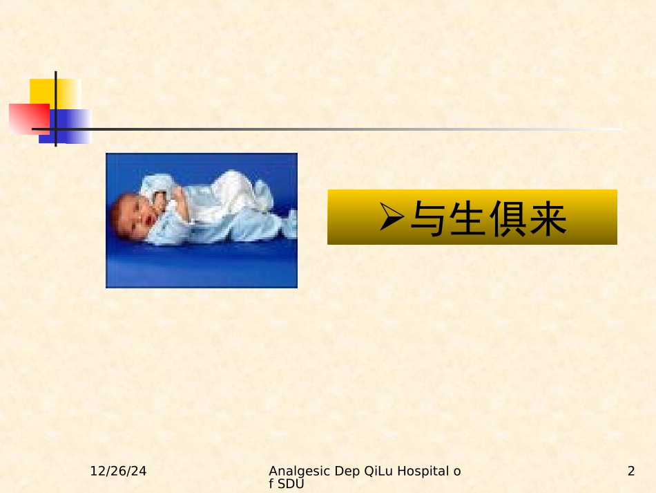 最新疼痛基理论及诊疗原则-PPT文档_第2页