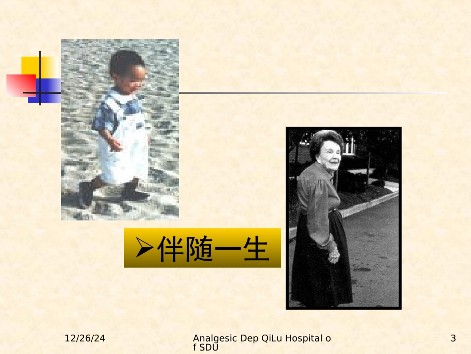 最新疼痛基理论及诊疗原则-PPT文档_第3页