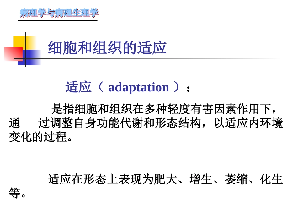 最新第一章-细胞和组织的适应、损伤与修复_第3页