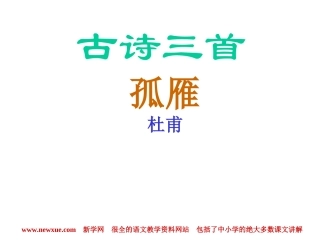 古诗三首孤雁PPT课件,杜甫