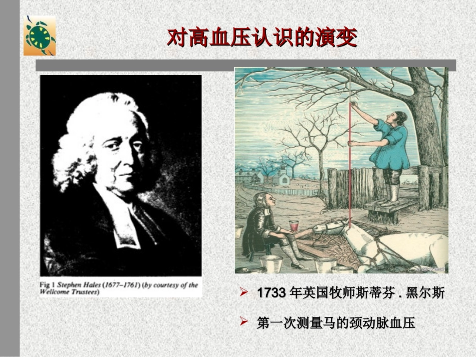 最新1、高血压的社区防治-PPT文档_第3页