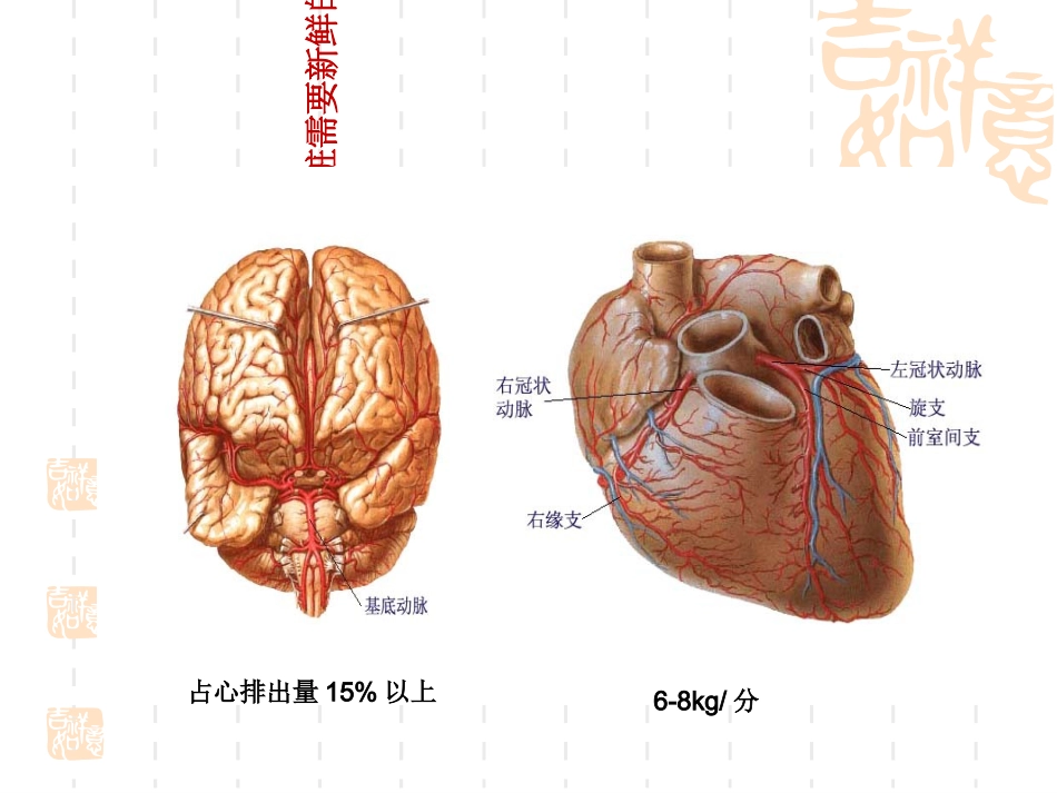 最新12版基药心脑血管物部分-PPT文档_第2页