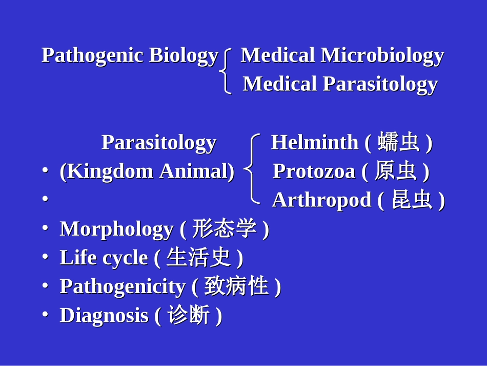 最常见的线虫成虫寄生于小肠_第2页