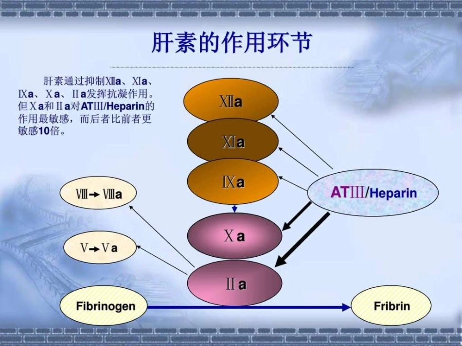 普通肝素和低分子量肝素_第3页