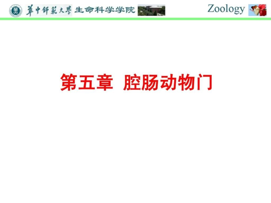 普通动物学-第五章腔肠动物门_第1页