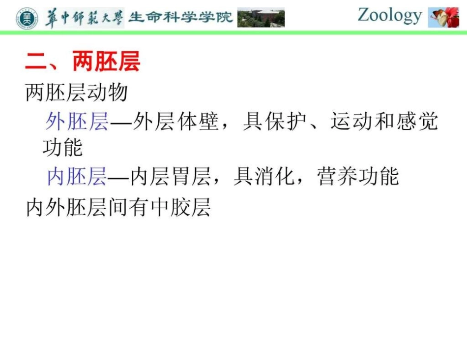 普通动物学-第五章腔肠动物门_第3页