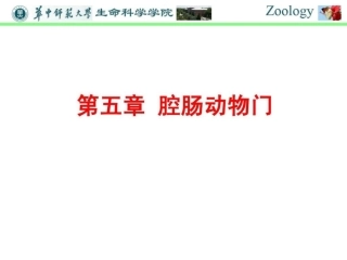 普通动物学-第五章腔肠动物门