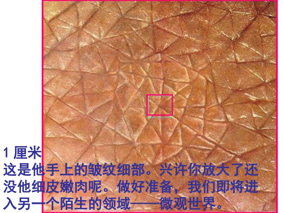 显微镜下看人体_第3页