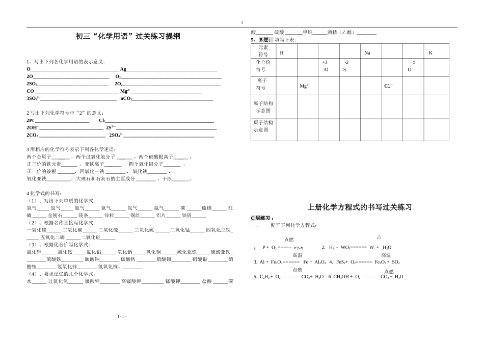 中考化学用语复习题_第1页