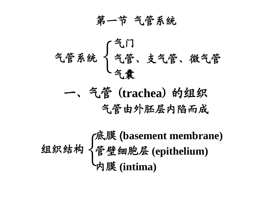 昆虫的呼吸系统1PPT_第2页