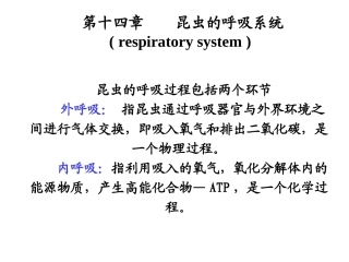 昆虫的呼吸系统1PPT