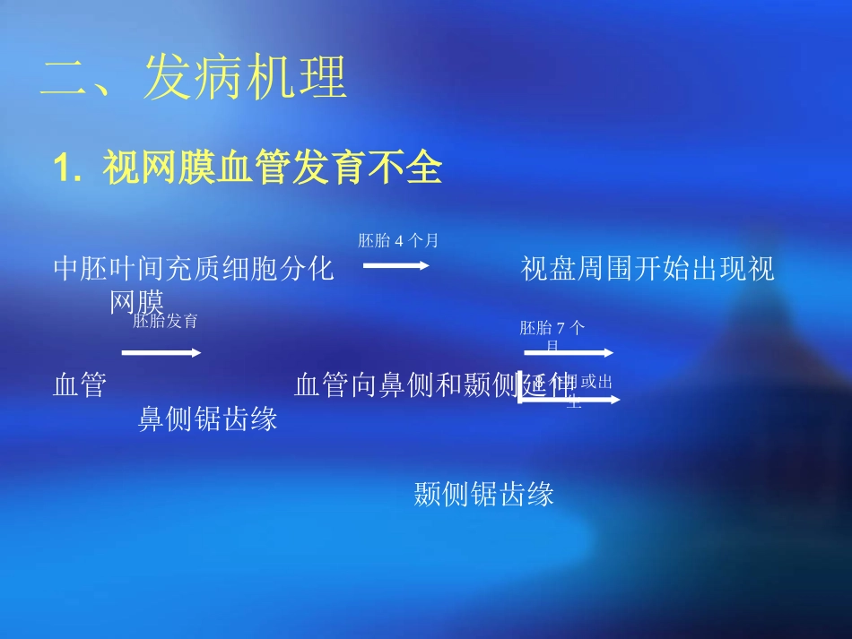 早产儿视网膜病变_第3页