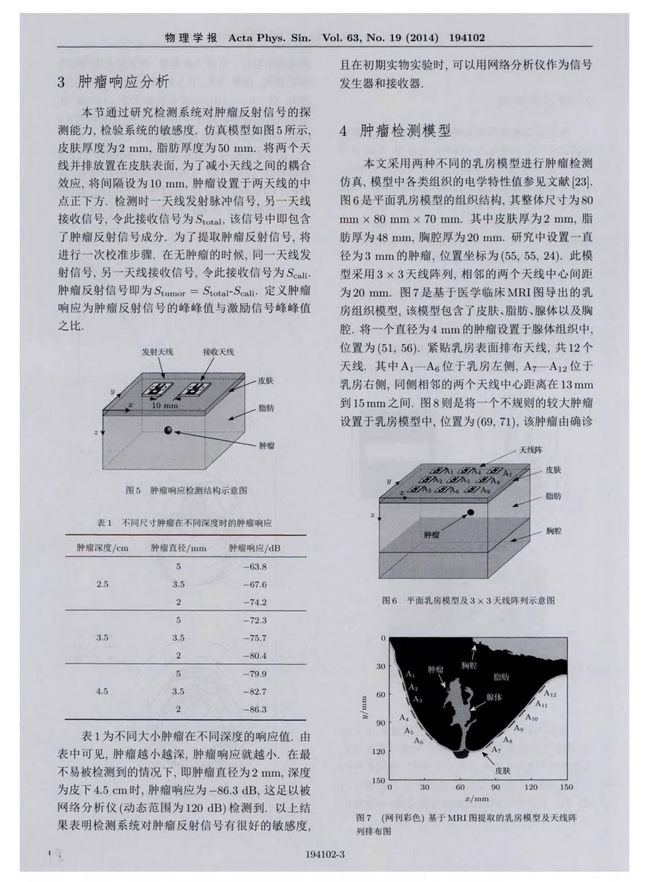 早期乳腺肿瘤的超宽带微波稳健波束形成成像检测系统_第3页