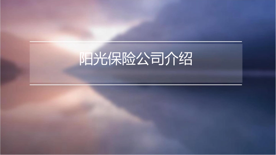 阳光保险公司介绍课件_第1页