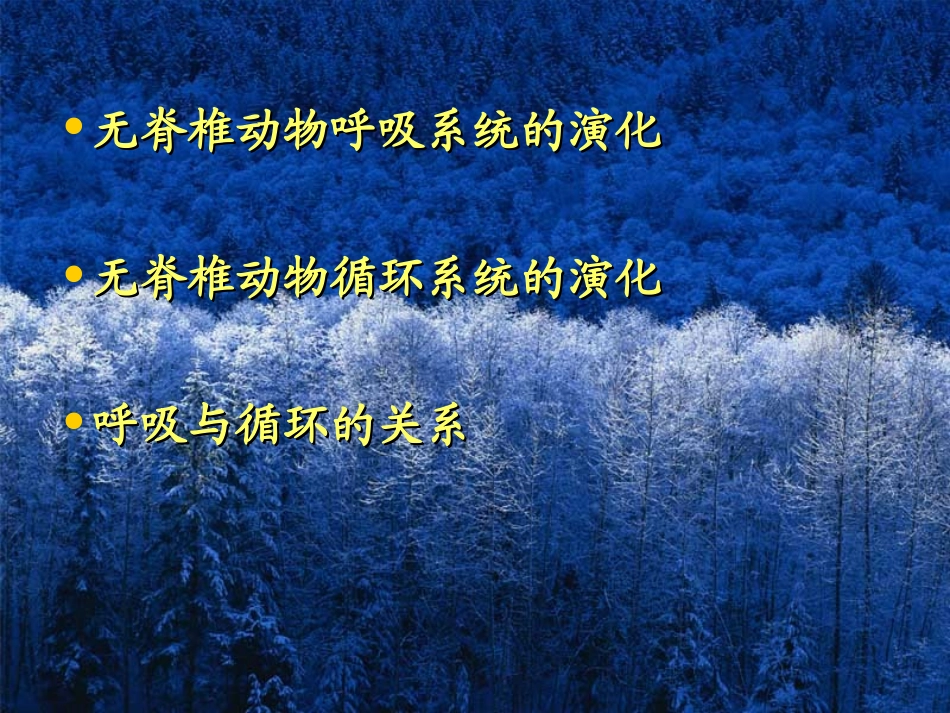 无脊椎动物的呼吸器官结构与功能演化及其与循环系统演化的...资料_第2页