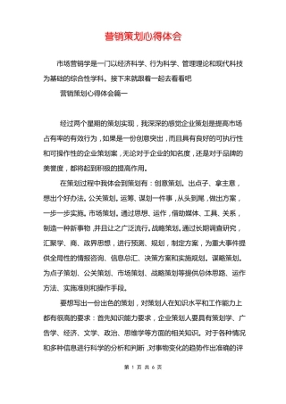 营销策划心得体会