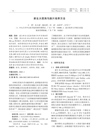 新生大鼠海马脑片培养方法