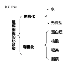 新编第5节-细胞中的无机物