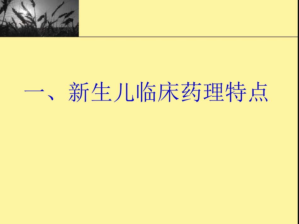 新生儿科用药特点_第1页
