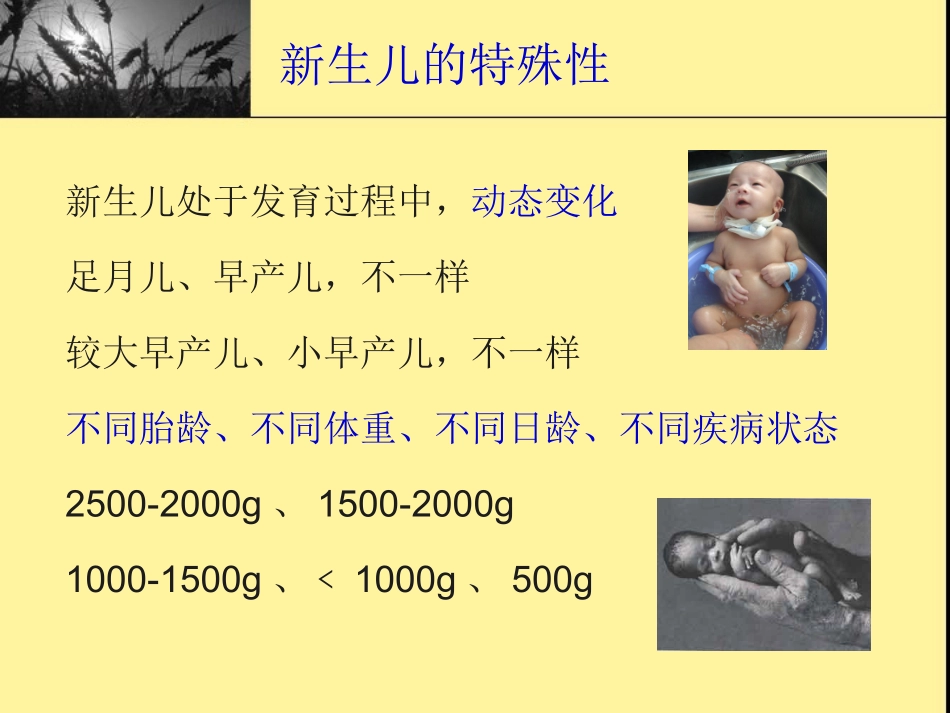 新生儿科用药特点_第3页