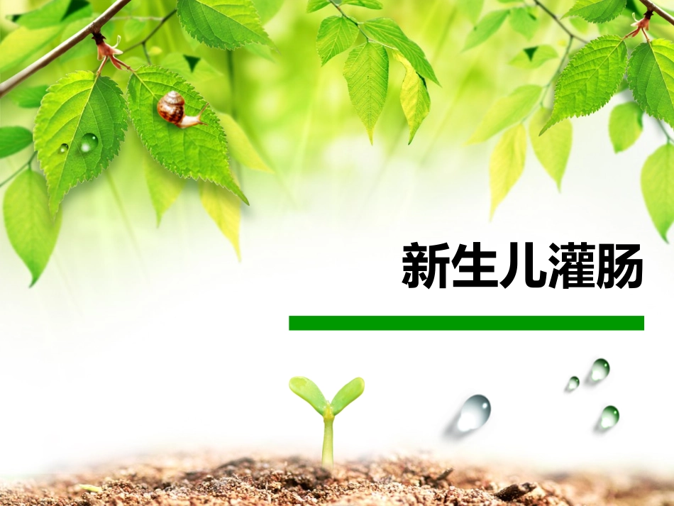 新生儿灌肠PPT_第1页