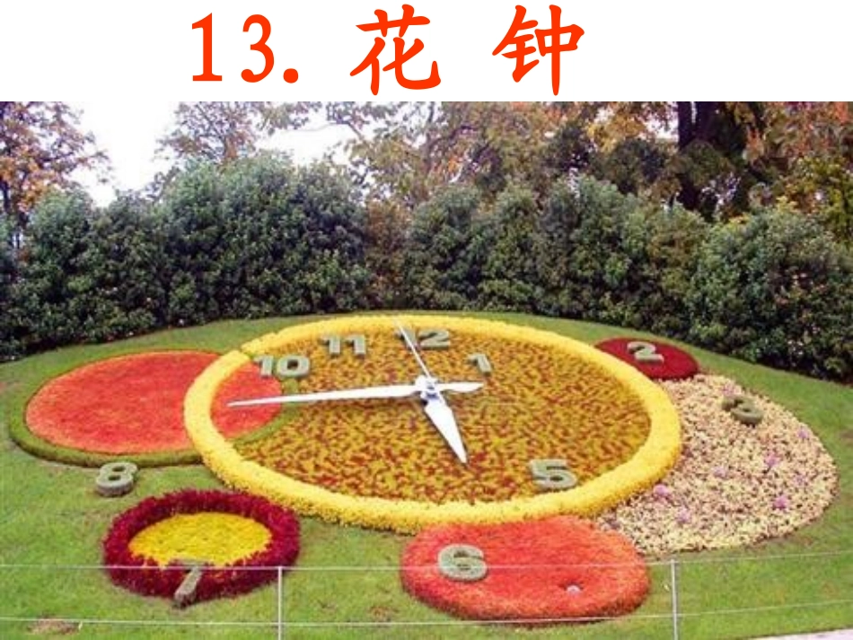 人教版三年级上册13花钟课件_第1页