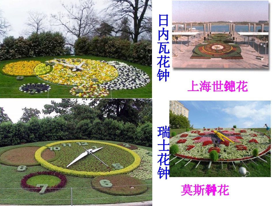 人教版三年级上册13花钟课件_第3页