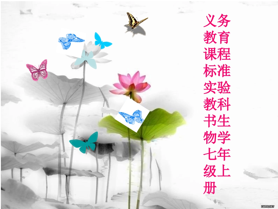 动物体的结构层次_第1页