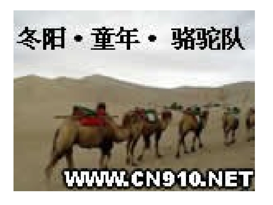 冬阳童年骆驼队第二课时_第1页