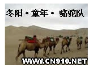 冬阳童年骆驼队第二课时