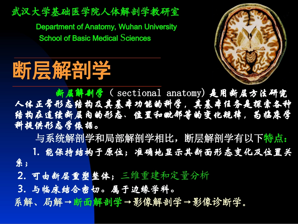 断层解剖学课件1断层--头部_第1页