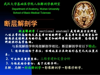 断层解剖学课件1断层--头部