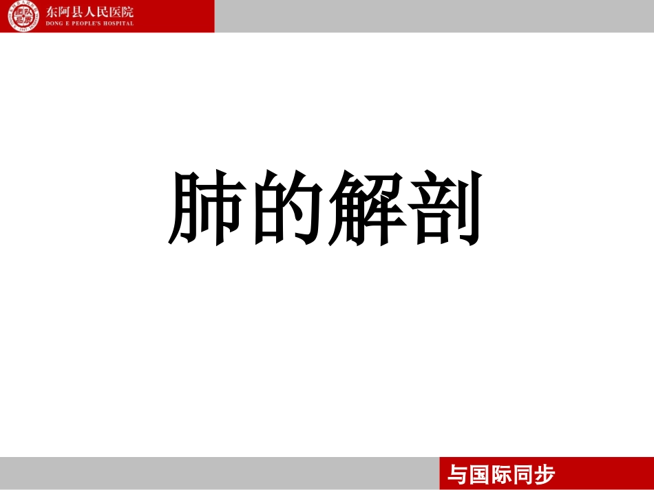 支气管镜下肺脏的分段_第1页