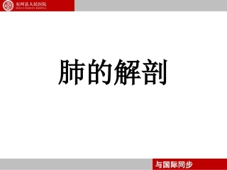 支气管镜下肺脏的分段