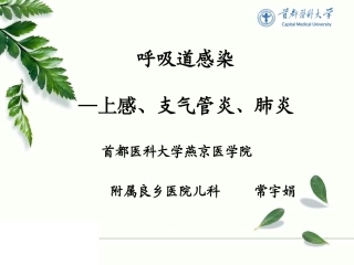 支气管炎、肺炎