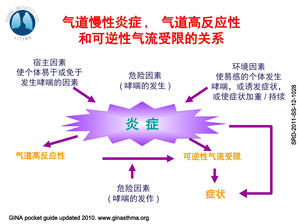 支气管哮喘指南解读_第1页