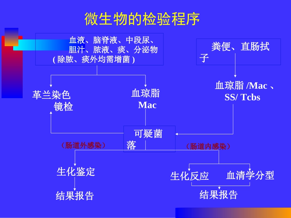 控感科课件1_第3页