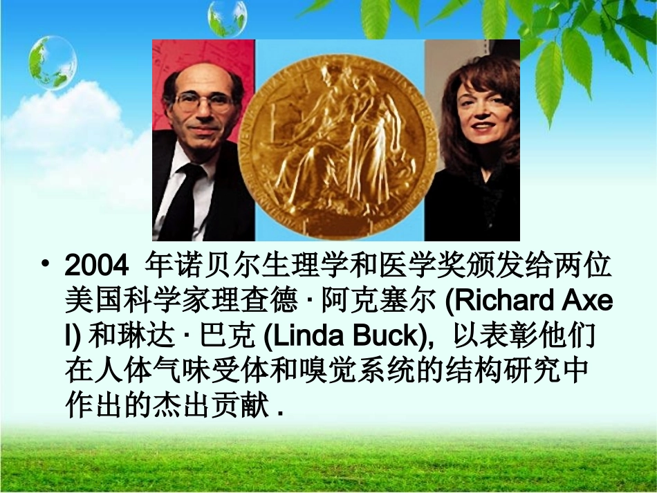 探索嗅觉的奥秘_第2页