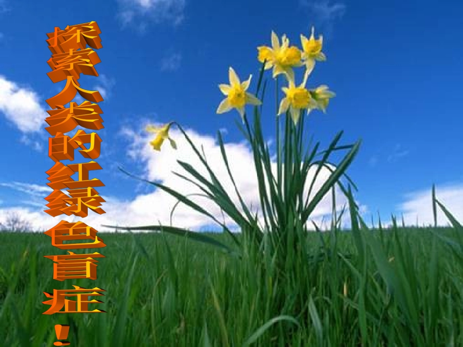 探索人类的红绿色盲症!_第1页