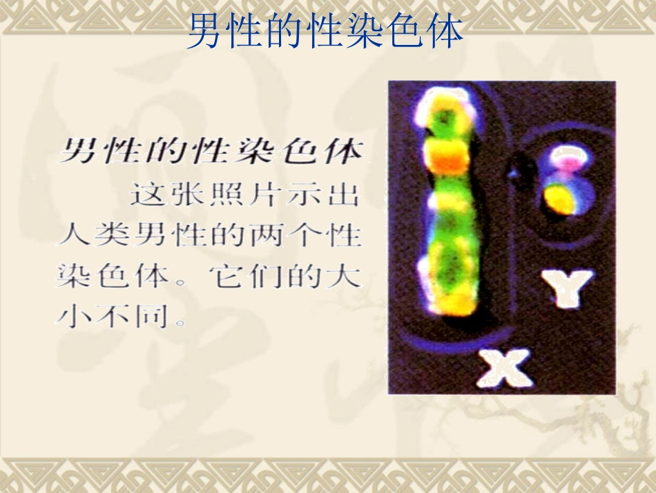 探索人类的红绿色盲症!_第3页