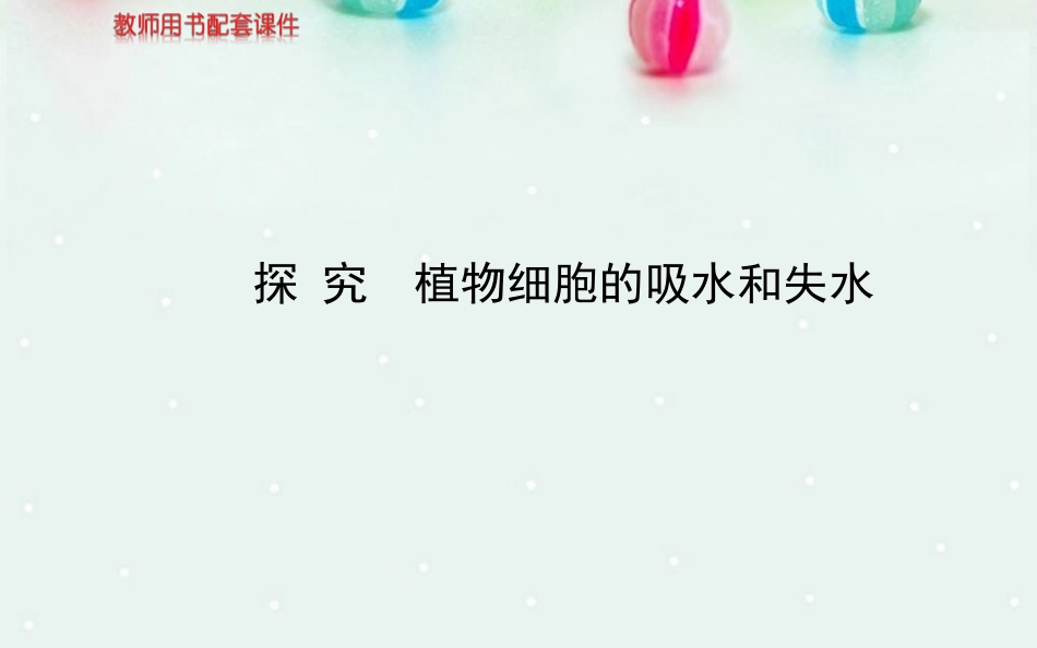 探究植物细胞的吸水和失水成熟的植物细胞构成渗透系统可发生渗透_第1页