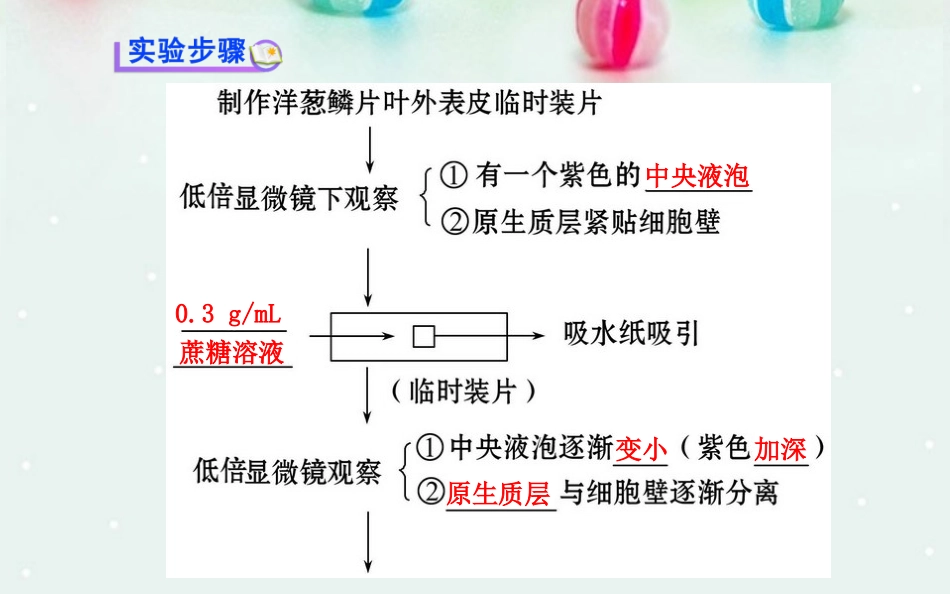 探究植物细胞的吸水和失水成熟的植物细胞构成渗透系统可发生渗透_第3页