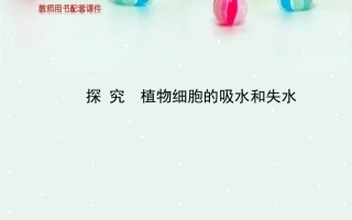 探究植物细胞的吸水和失水成熟的植物细胞构成渗透系统可发生渗透