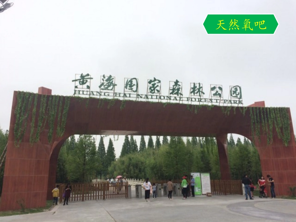探究过氧化氢制氧气_第2页