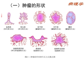 换个角度精简版