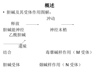 拟胆碱药和抗胆碱