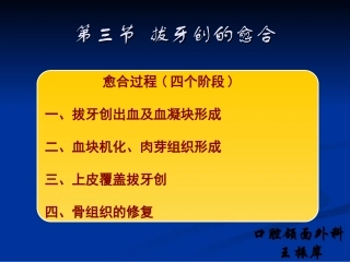 拔牙创出血及血凝块形成拔牙后-山东大学