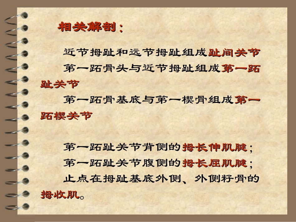 拇外翻手术介绍x_第2页